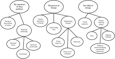 The Experience of Sleep Problems and Their Treatment in Young People at Ultra-High Risk of Psychosis: A Thematic Analysis